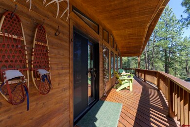 35453 Road R, Mancos, CO 81328 - photo 5