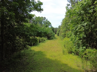 0 Judydahl Rd unit 11616615, Woodville, MS 39669 - photo 3