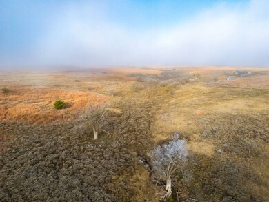 TBD S County Rd 170, Shattuck, OK 73858 - photo 5