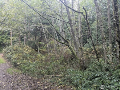 0 XXX Jewett Rd, Clinton, WA 98236 - photo 4