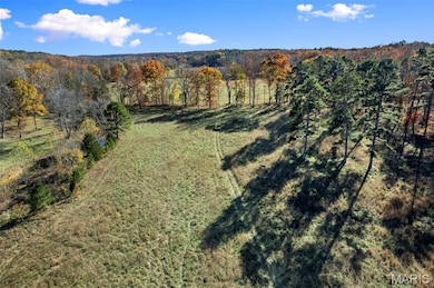 6827 Wayne 505, Greenville, MO 63944 - photo 6