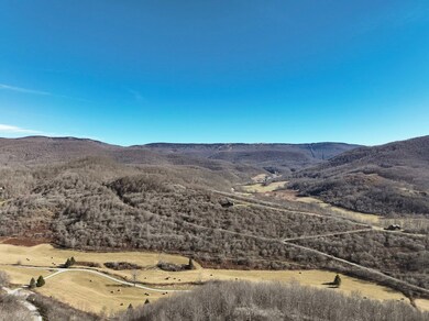 Lt 9 Hickory Hill Sec S Fork, Slaty Fork, WV 26505 - photo 3