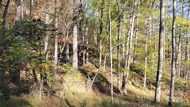 000 Cabin Hill Rd, Green Mountain, NC 28740 - photo 4