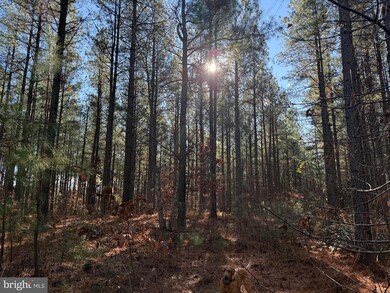0 Longwood Dr unit VALA2007086, Louisa, VA 23093 - photo 4