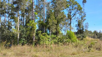 4810 30th St SW, Lehigh Acres, FL 33973 - photo 2