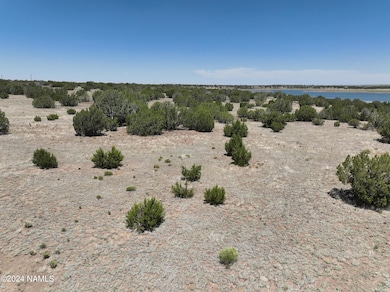 DJI_20240615113657_0056_V