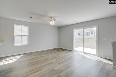 268 Bangalore Way, Gilbert, SC 29054 - photo 6