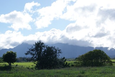 0 Olohena Rd unit 710994, Kapa?a, HI 96746 - photo 6