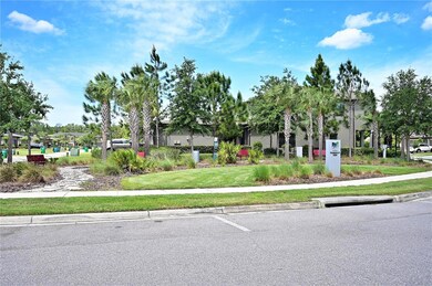 28522 Tranquil Lake Cir, Wesley Chapel, FL 33543 - photo 5