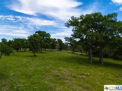 TBD Cottonwood Mesa Dr, Kempner, TX 76539 - photo 4