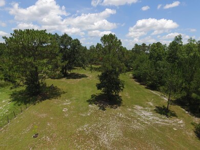 3872 Darlene Rd, Middleburg, FL 32068 - photo 4