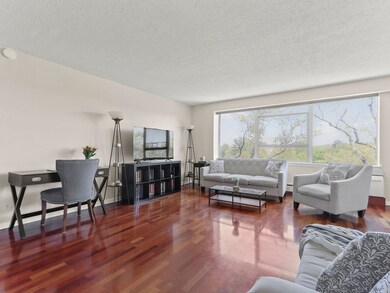 Hammond Park Condominiums unit 605, Chestnut Hill, MA 02467 - photo 3