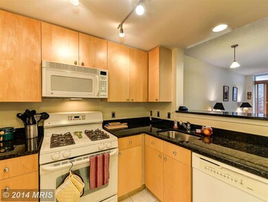 The Crescent unit 1202, Silver Spring, MD 20910 - photo 3