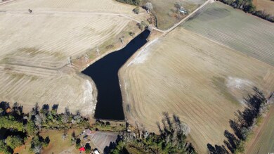 Tract 2 Beth Dr, Nichols, SC 29581 - photo 5