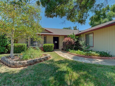 4607 Fiddleneck