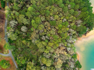 0 Annesley Dr unit 21438186, Pell City, AL 35128 - photo 2