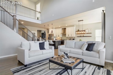 3882 Horse Gulch Loop, Colorado Springs, CO 80924 - photo 4