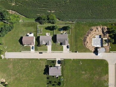 504 Bluff Meadows Dr, Valmeyer, IL 62295 - photo 4