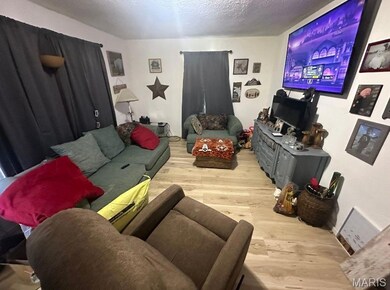 106 Slaybaugh St, Marble Hill, MO 63764 - photo 7