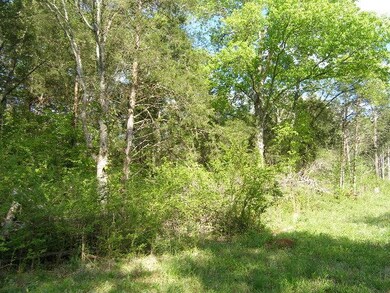 0 Verona Caney Rd unit 1632993, Chapel Hill, TN 37034 - photo 6