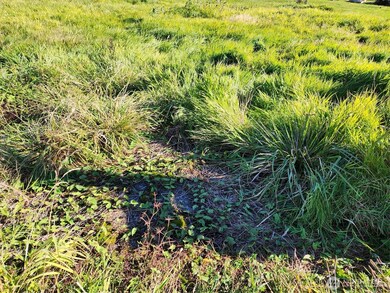 300 W Front St, Aberdeen, WA 98520 - photo 7