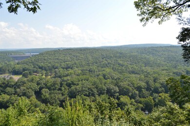 Lots 12 & 13 Timberline Dr, Heber Springs, AR 72543 - photo 4