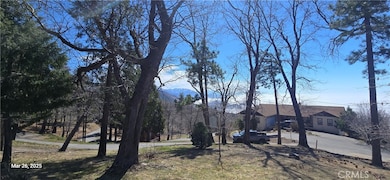 42 Park Dr, Running Springs Area, CA 92382 - photo 3