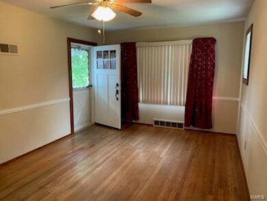 313 S Belleville St, Freeburg, IL 62243 - photo 2