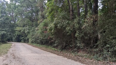 23403 Cardinal Dr, Hockley, TX 77447 - photo 7