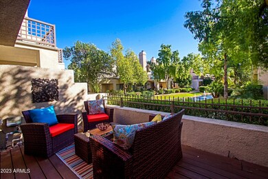 Back Patio 3