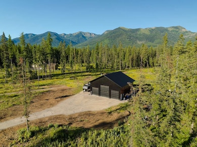 Mountain view with a forest