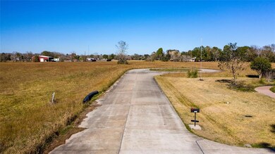 0 Rowan-Burton Rd, Alvin, TX 77511 - photo 7