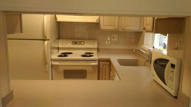 133 Beaconsfield Rd unit 3__, Brookline, MA 02445 - photo 6