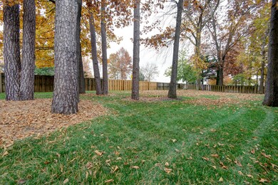 Rush Court (41)