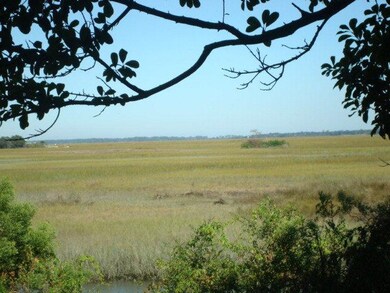 Eastern Marsh Views