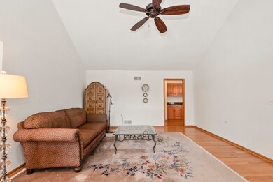 10502 San Luis Ln, Orland Park, IL 60467 - photo 5