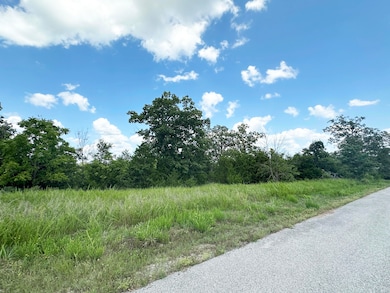 235 Shady Oaks Shore unit Lot 45, Forsyth, MO 65653 - photo 2