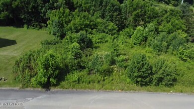 Lot 8 Thomas Headrick Rd, Sevierville, TN 37862 - photo 2