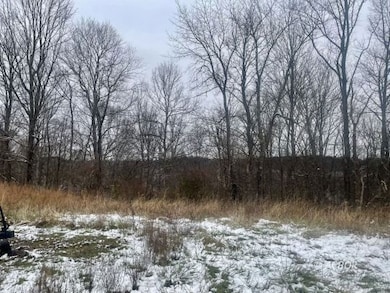 0 Mountain Bell Rd unit 2434302, Coolville, OH 45723 - photo 2