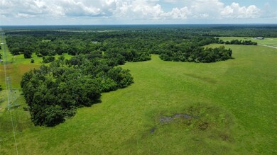 0 Brazoria County Rd unit 54196158, Angleton, TX 77515 - photo 6