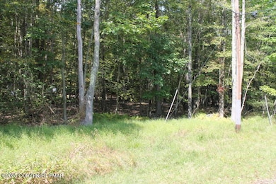 21 Omaha Trail, Tobyhanna Township, PA 18347 - photo 5