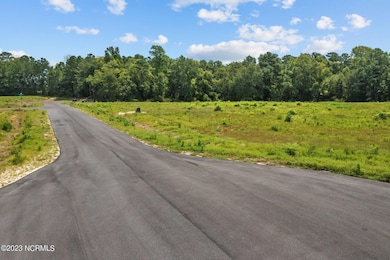 408 Red Drum W, Swansboro, NC 28584 - photo 3