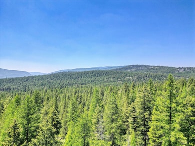 NHN View Ridge, Marion, MT 59925 - photo 4