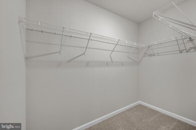 169 Lyon Ridge Rd, Shepherdstown, WV 25443 - photo 4