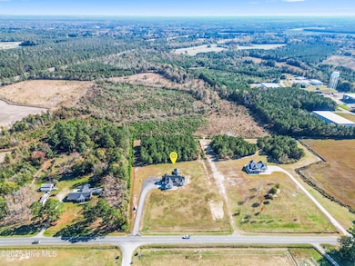 3713 N Carolina 11, Wallace, NC 28466 - photo 4