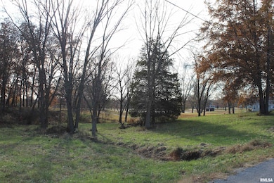 000 Birdie Dr, Mount Vernon, IL 62864 - photo 3