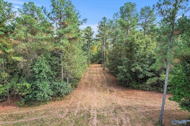 8.9 Acres Davis Gap Rd, Vinemont, AL 35179 - photo 3