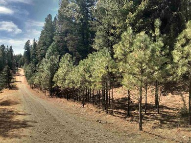 26 Pinos Verdes, Cloudcroft, NM 88317 - photo 6