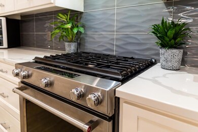 413 W College St, Fredericksburg, TX 78624 - photo 7