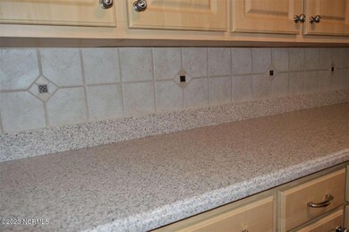 1505 US Highway 117 Bypass S, Burgaw, NC 28425 - photo 6